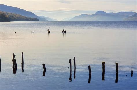 Loch Ness: Peaceful Tour of the Loch and Forest 2024 - Inverness - Viator