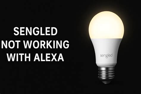 Open CDT File 的图像结果