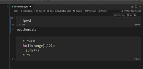 Python Notebook and Docker 的图像结果
