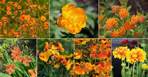 Image result for Comparing Numbers Using Pictures