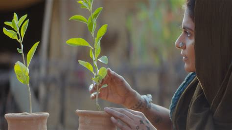 Saas, Bahu Aur Flamingo - Disney+