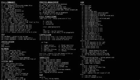 Linux中8种常用命令的用法示例 - 编程语言 - 亿速云