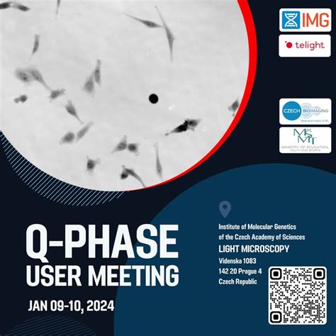 Q-Phase User Meeting at IMG • Telight