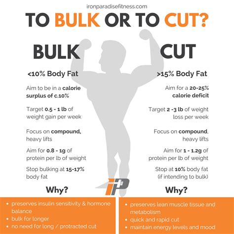 How to know if you should cut or bulk – Artofit