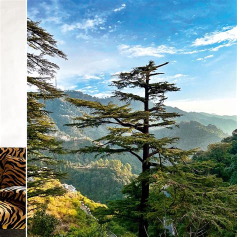 Planning a solo trip? Here are 10 tips to keep in mind | GQ India
