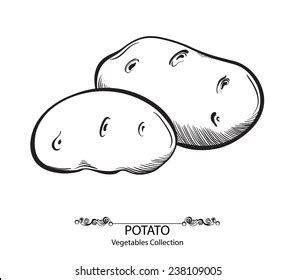 Image result for Potato Man Project Python Coding