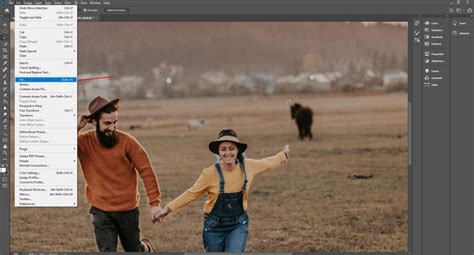 Content Aware Fill Tutorial 的图像结果