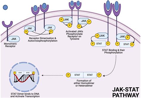 STAT | A decade of reporting from the frontiers of health and medicine