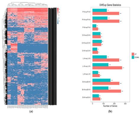 Comprehensive CircRNA Profiling and Selection of Key CircRNAs Reveal ...