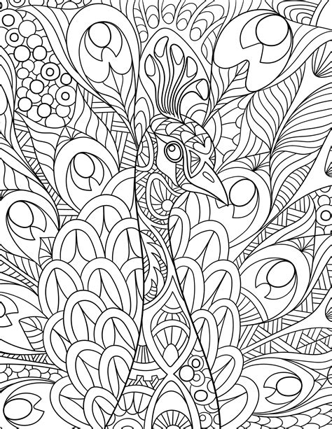 Free Printable Peacock Coloring Pages Adult