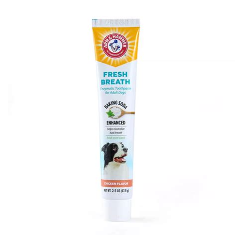 Arm & Hammer Fresh Breath Enzymatic Dog Toothpaste - Chicken – S S IMPORTS