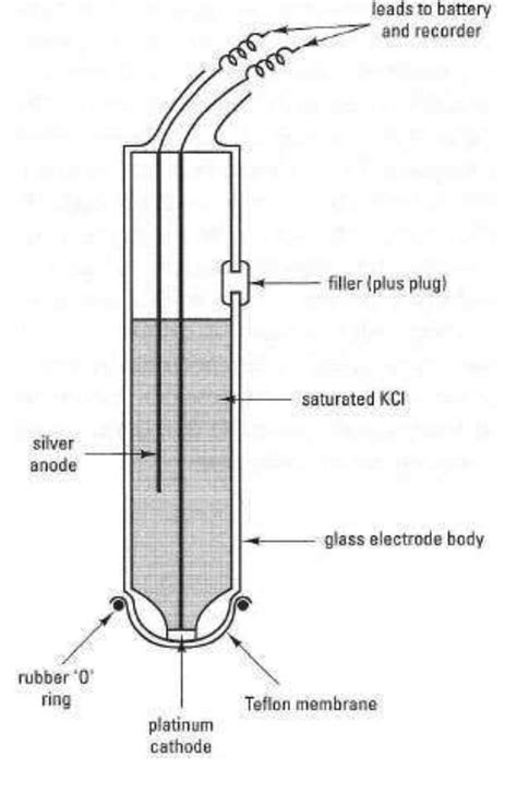Image result for Clrk Electrode ABG PaO2