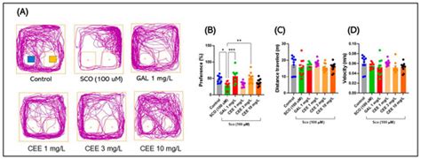 Chronic Administration of Calendula officinalis Ethanolic Extract ...