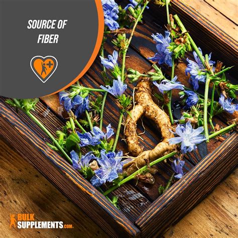 Chicory Root Fiber Powder - 100g - Gut Health & Prebiotic Fiber ...