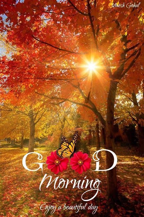 Good Morning Fall Gif