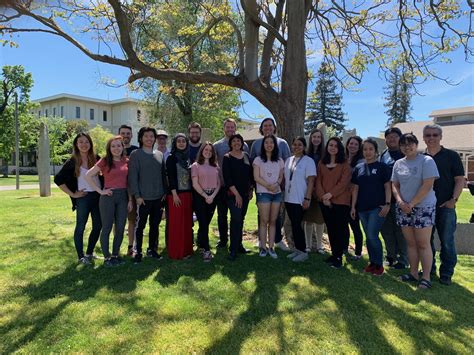 David Lab 的图像结果