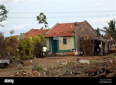 Village 的图像结果