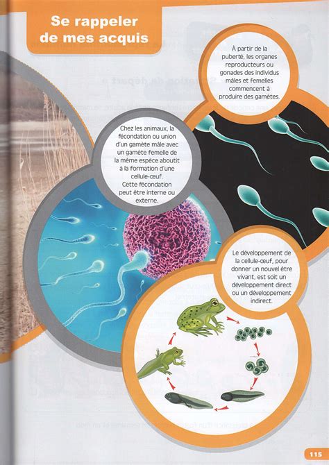 La Reproduction Humaine 的图像结果