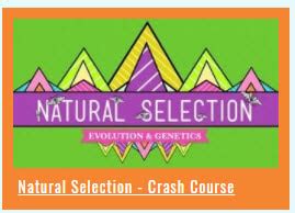 Crash Course Science 的图像结果