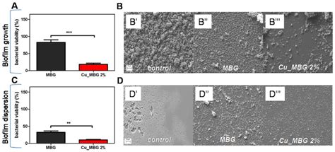 A Review on Manufacturing Processes of Biocomposites Based on Poly(α ...