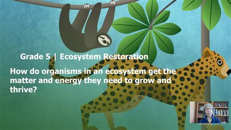 Free Science Lessons Ecosystem 的图像结果