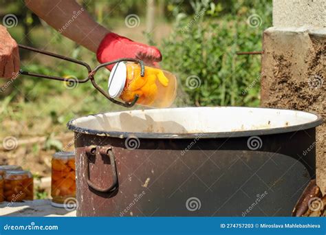 Man Hands Drawing a Jar with Apricot Slices Out of Boiling Water in a Big Rustic Pot with an Old ...