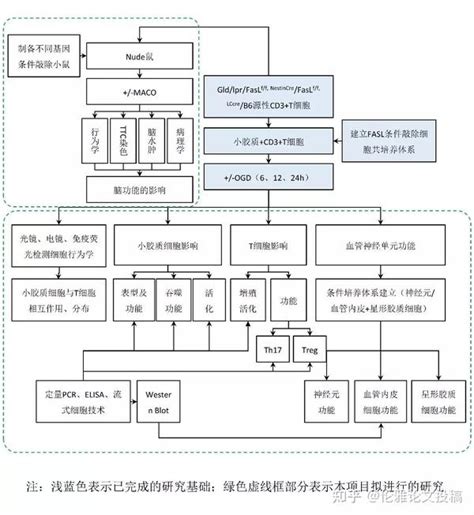 Image result for Continuous Rectangular Distribution