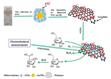 Dispersed Conducting Polymer Nanocomposites with Glucose Oxidase and ...