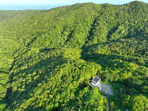 Japan Holiday Rentals & Homes | Airbnb