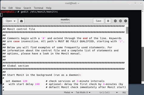 Install Monit, a process and service monitoring tool on Kali Linux ...