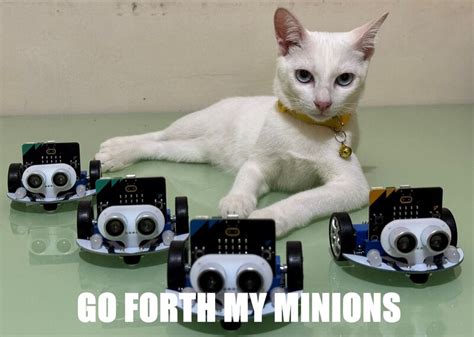 Image result for Learning Python with Colin