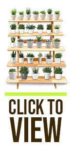 SOLVD-IN-BOX 5 Steps Navarathri Kolu Padi Golu Stand Mini Navratri ...