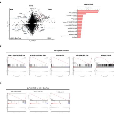 Image result for Transcriptome Analysis