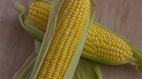 农业技术：甜玉米如何种植管理？ - 知乎