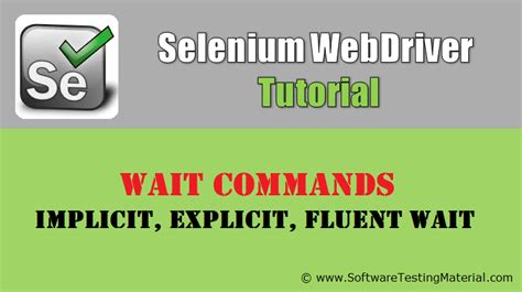 Fluent Wait in Selenium Python 的图像结果