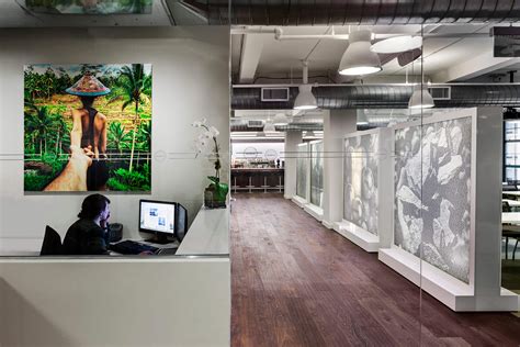 Michael Skurnik Wines & Spirits - The Lighting Practice