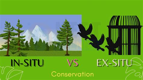 Differences Between In-situ Conservation and Ex-situ Conservation (NEET ...