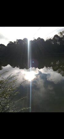 North Georgia Canopy Tours (Lula) - All You Need to Know BEFORE You Go