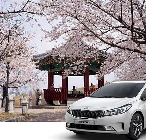 10 BEST Places to Visit in Daegu - UPDATED 2022 (with Photos & Reviews ...