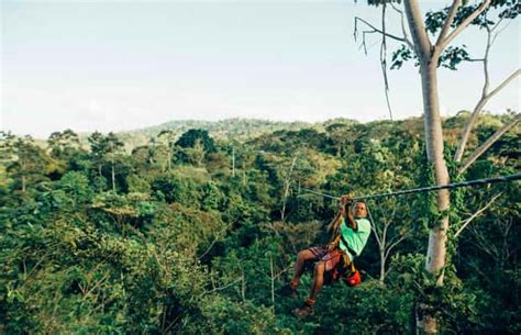 nyungwe zipline