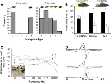 Image result for Environmental Variation Examples