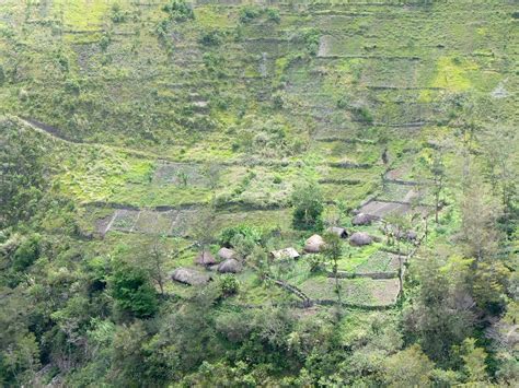 Travel Papua (Manokwari) - All You Need to Know BEFORE You Go