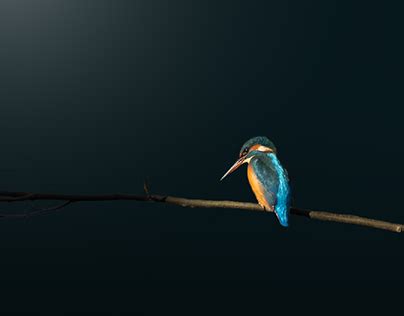 Image result for Photoshop GUI Templete