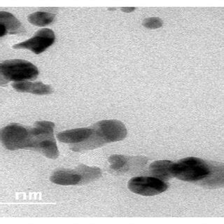 Image result for TiO2 Pfotes Sebs