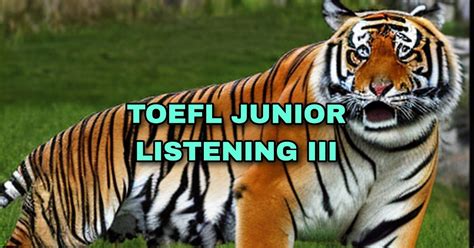 TOEFL LISTENING III