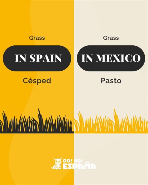 Spain Spanish vs Mexican Spanish