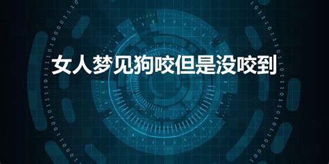 女人梦见狗是什么预兆周公解梦,女人梦到好几只狗好不好什么意思_168看看网