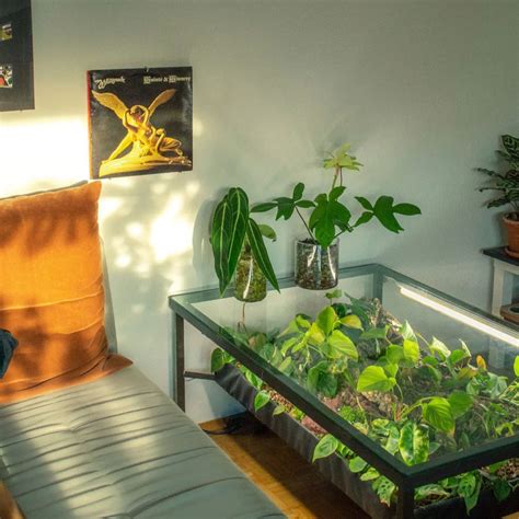 9 DIY Indoor Greenhouses | The Family Handyman