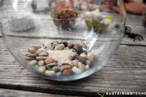 Image result for Terrarium Making111