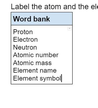 Atom with Labels 的图像结果